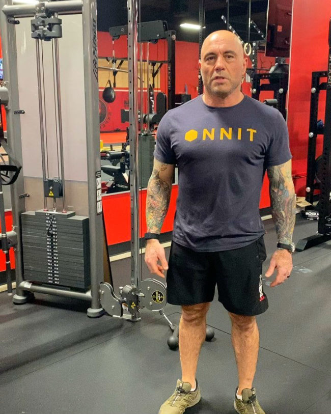 joe Rogan transformation