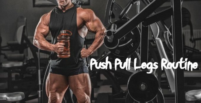 Push Pull Legs Routine PPL Workout