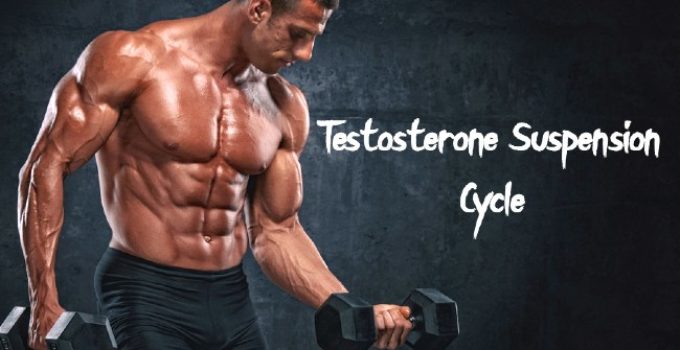 Testosterone Suspension Cycle