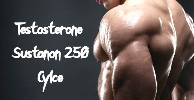 Testosterone Sustanon 250 cycle